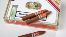 Saint Luis Rey Belicosos der Edición Regional Alemania Titel