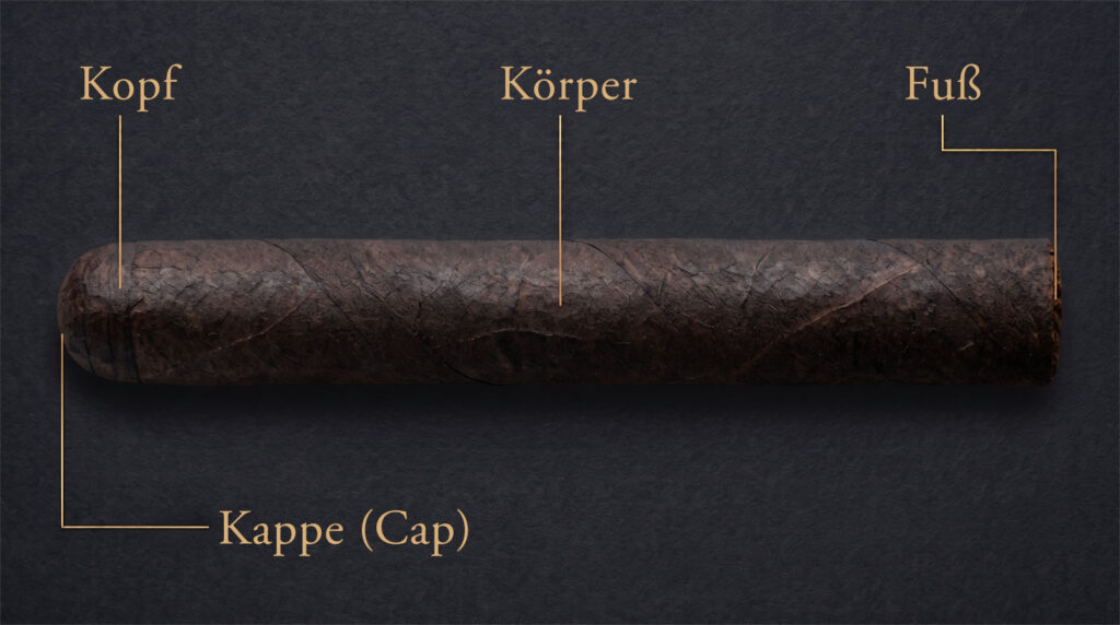 Bestandteile einer Zigarre: Kappe, Kopf, Körper, Fuß